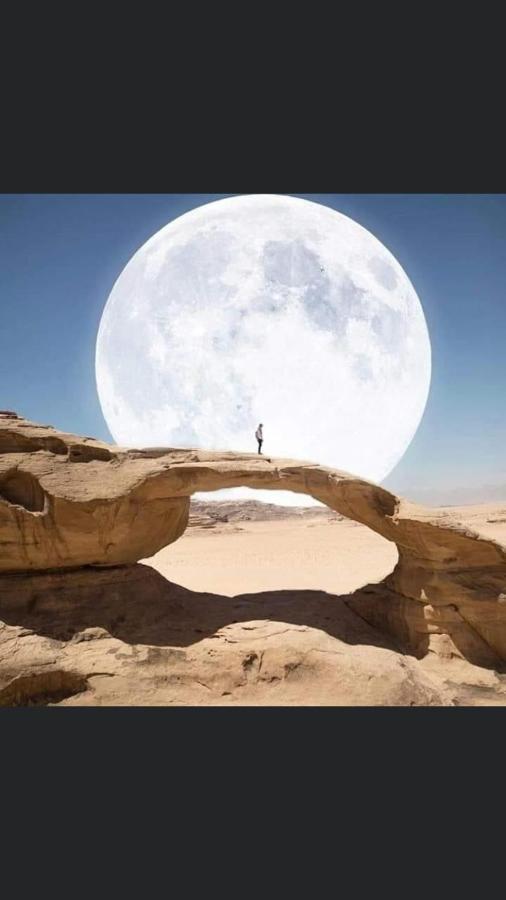 Wadi Rum-Bedouin Tents And Jeep Tours Εξωτερικό φωτογραφία