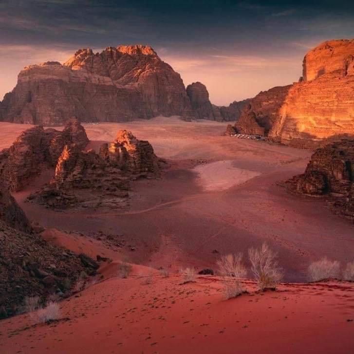 Wadi Rum-Bedouin Tents And Jeep Tours Εξωτερικό φωτογραφία
