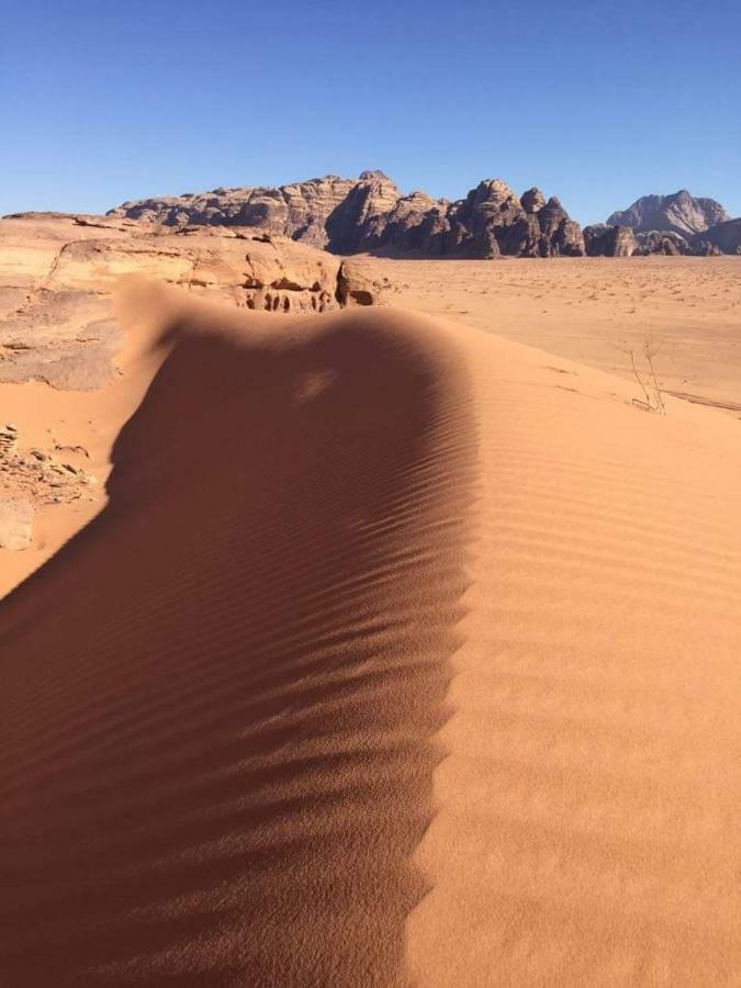 Wadi Rum-Bedouin Tents And Jeep Tours Εξωτερικό φωτογραφία