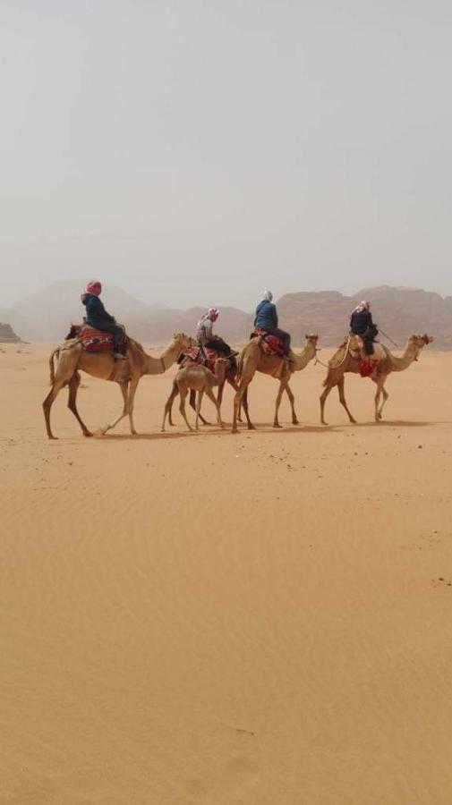 Wadi Rum-Bedouin Tents And Jeep Tours Εξωτερικό φωτογραφία